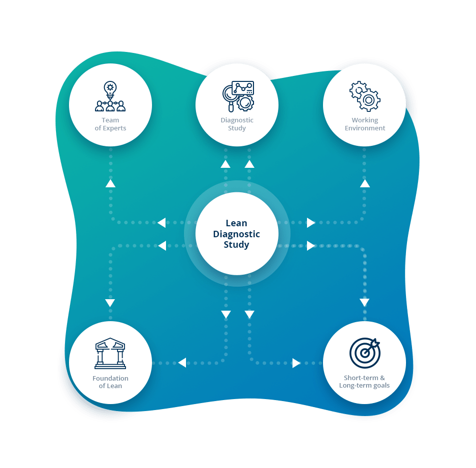 Lean Diagnostic Study