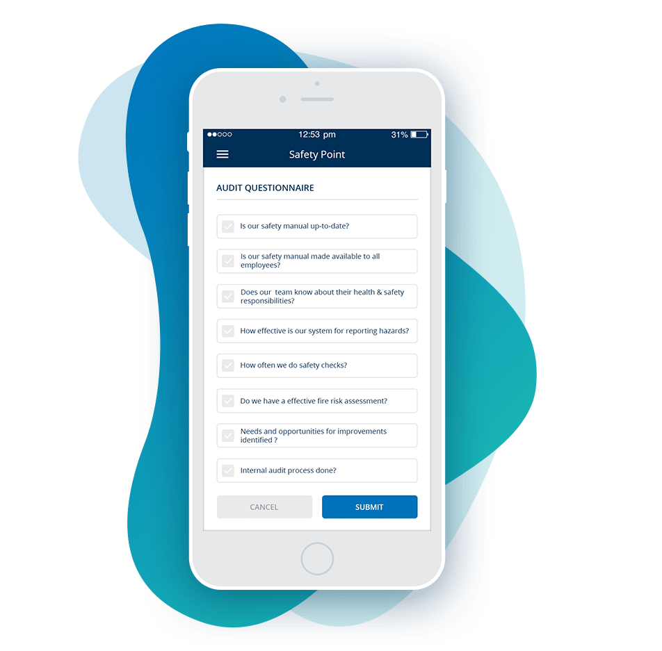 Safety Audit Checklist & Questionnaire